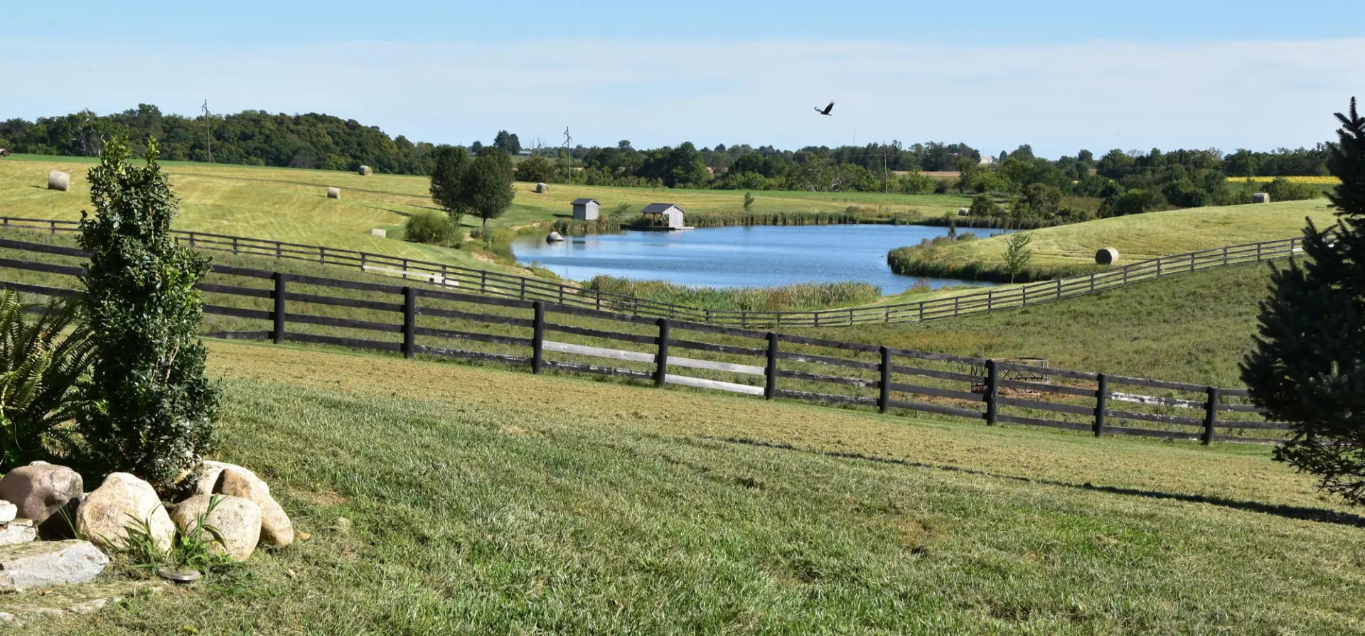 farm landscape with pond in middle and hawk flying over it